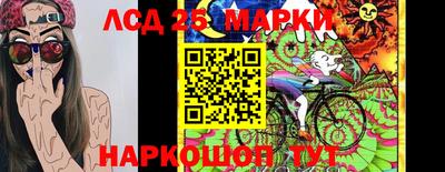 дживик Моздок