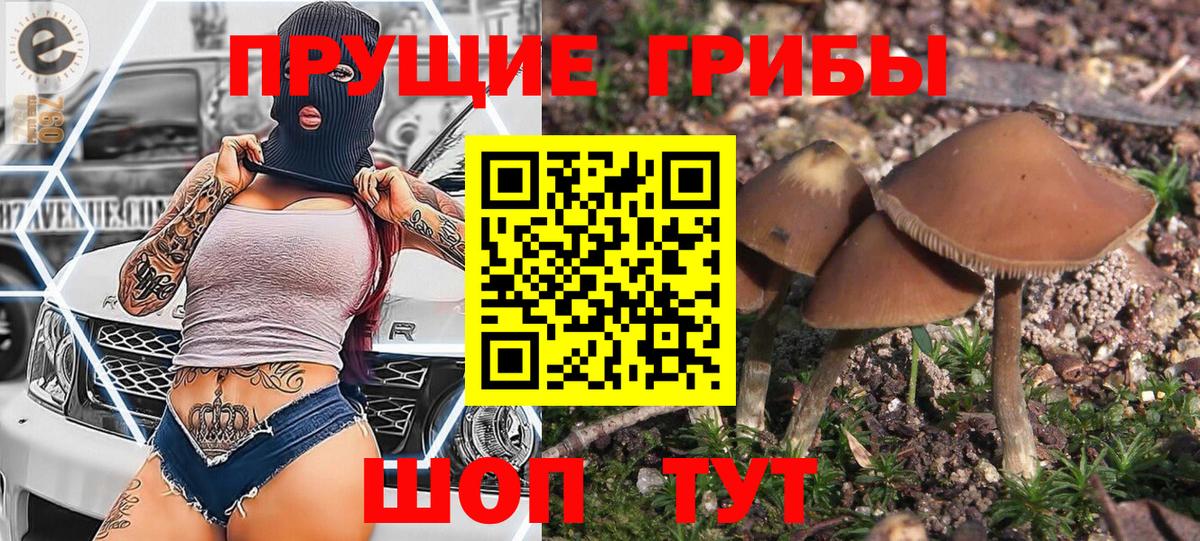 Псилоцибиновые грибы MAGIC MUSHROOMS Грязи
