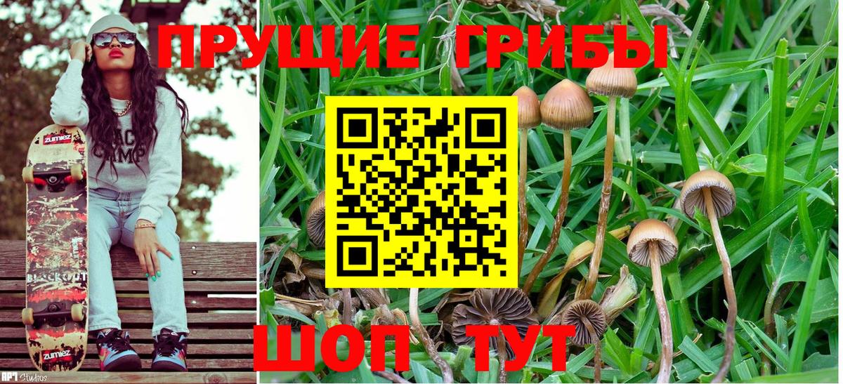 Галлюциногенные грибы Cubensis  Галлюциногенные грибы MAGIC MUSHROOMS  Вход с VPN  Грязи 